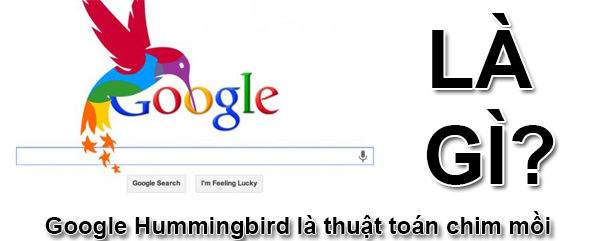 Hummingbird là gì? Cùng tìm hiểu chi tiết thuật toán Hummingbird